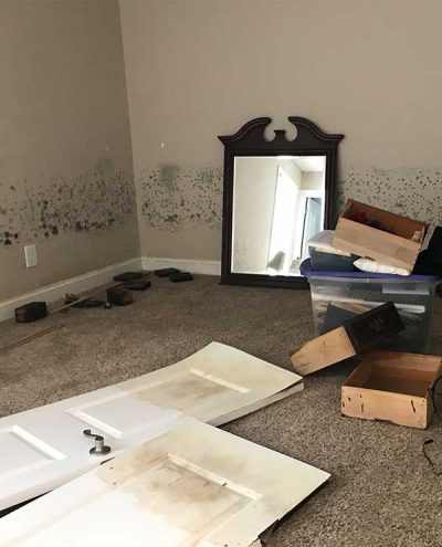 Restoration Service